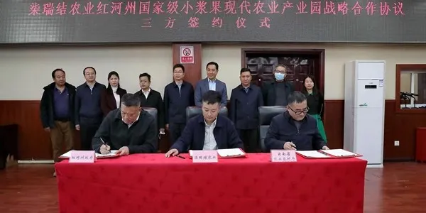 协会党支部开展主题教育活动